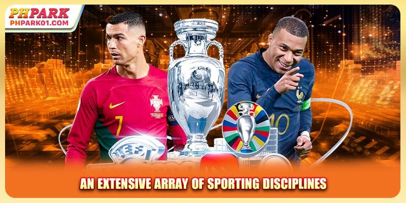 An extensive array of sporting disciplines