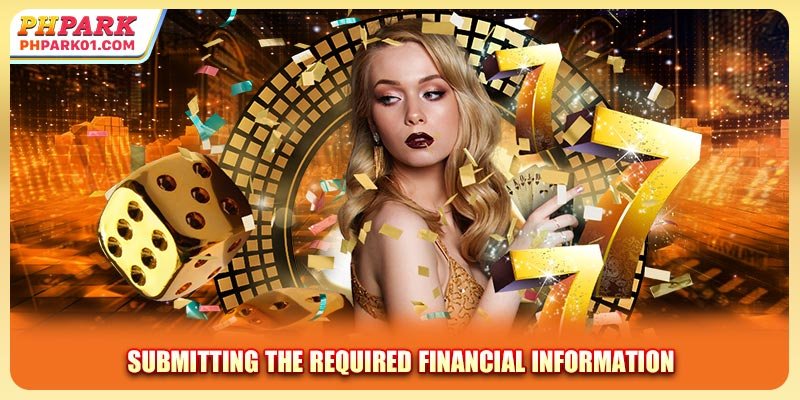 Submitting the required financial information