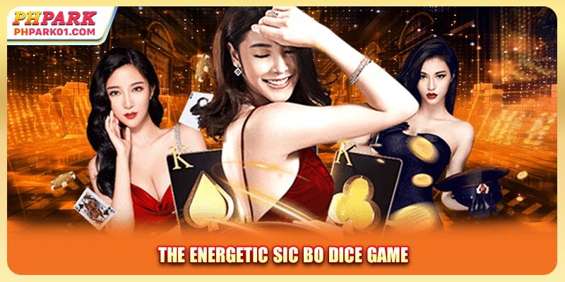 The energetic sic bo dice game