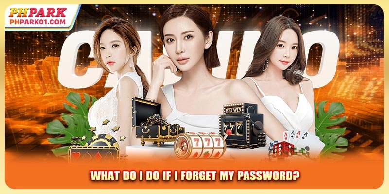 What do I do if I forget my password?